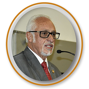 Presidente Vitalicio